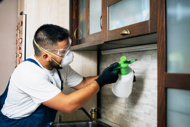  Cloverly, MD Pest Control Pros