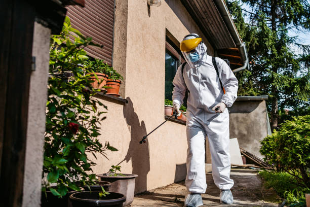 Best Pest Control for Businesses  in Cloverly, MD
