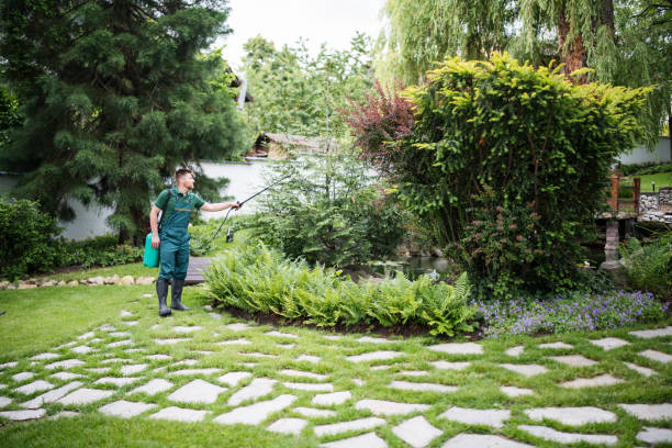 Best Pest Control Cost  in Cloverly, MD