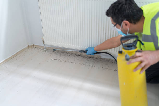 Best Best Pest Control Companies  in Cloverly, MD